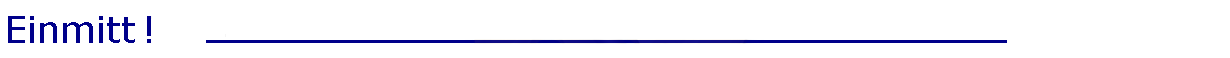 Einmitt.is