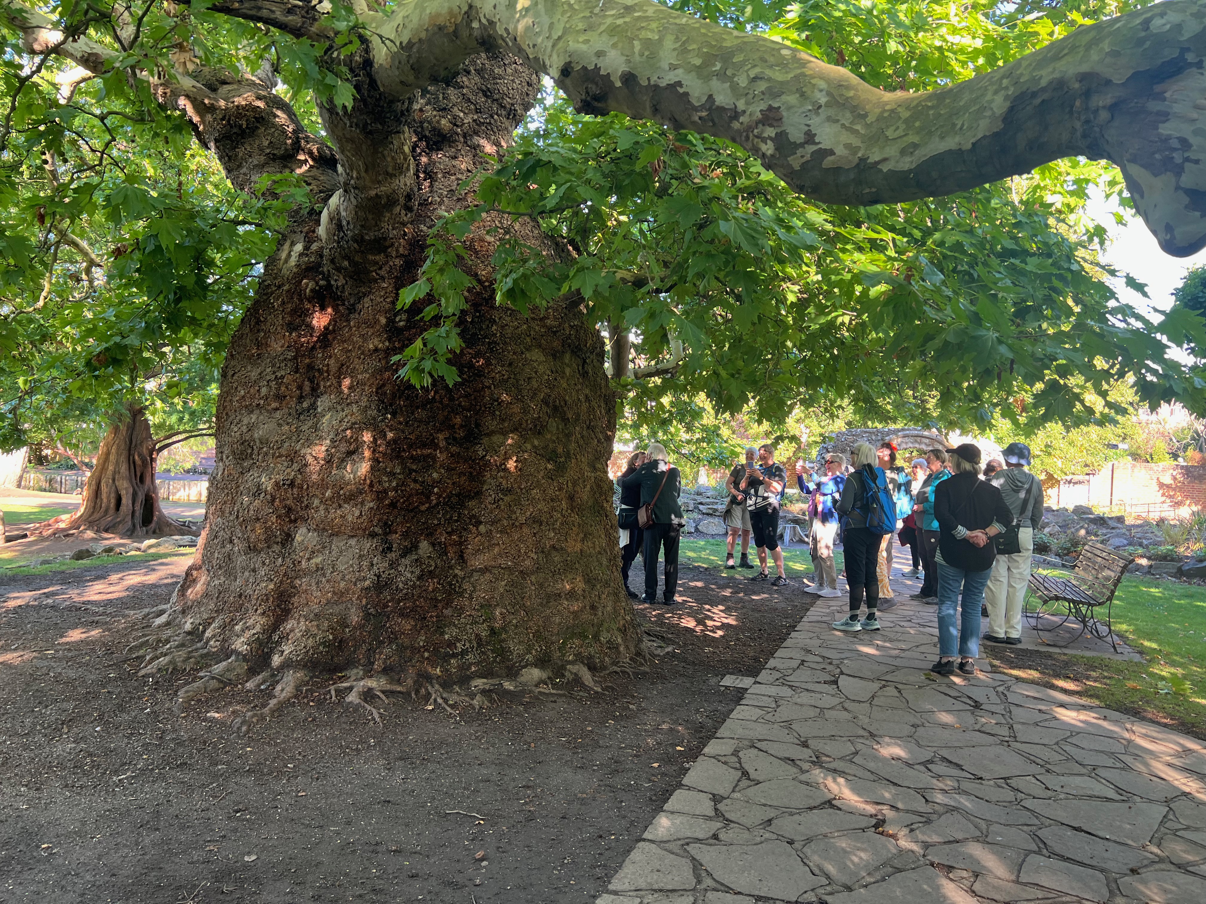 Myndin fannst ekki!